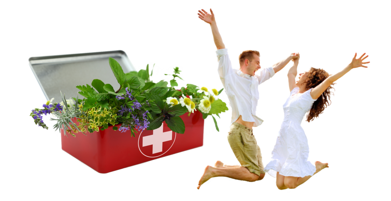 Natural health and wellness – medicinal herbs and plants in a first aid kit, symbolizing health, energy and vitality.