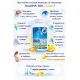 NuaDHA® 500 Lemon – DHA Omega-3 for Brain and Vision - 60 softgels