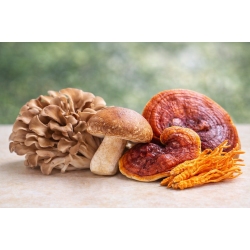ALLYMMUNE – Immune Support with Maitake, Shiitake, Reishi, Cordyceps & Selenium | 500 ml